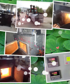 hospital incinerator design