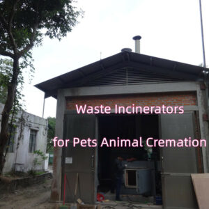 Waste Incinerators 2010