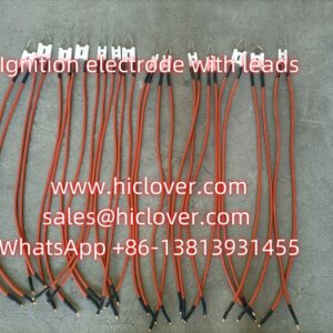 Ignition electrode with 2 leads