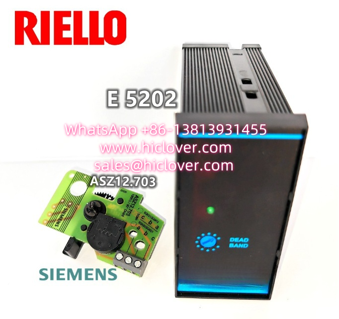 RIELLO Servo Motor Position Control Unit E5202