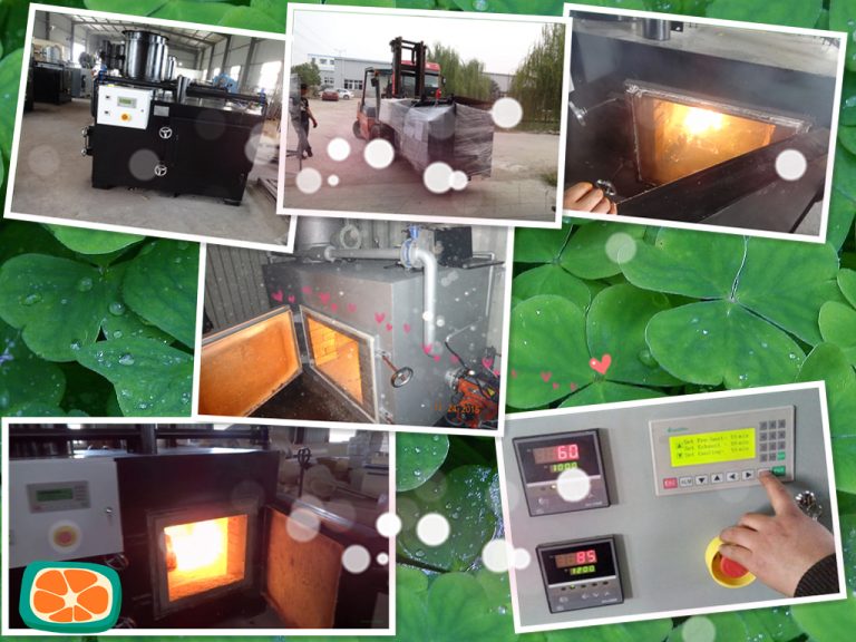 Waste Incineration HICLOVER Model TS75