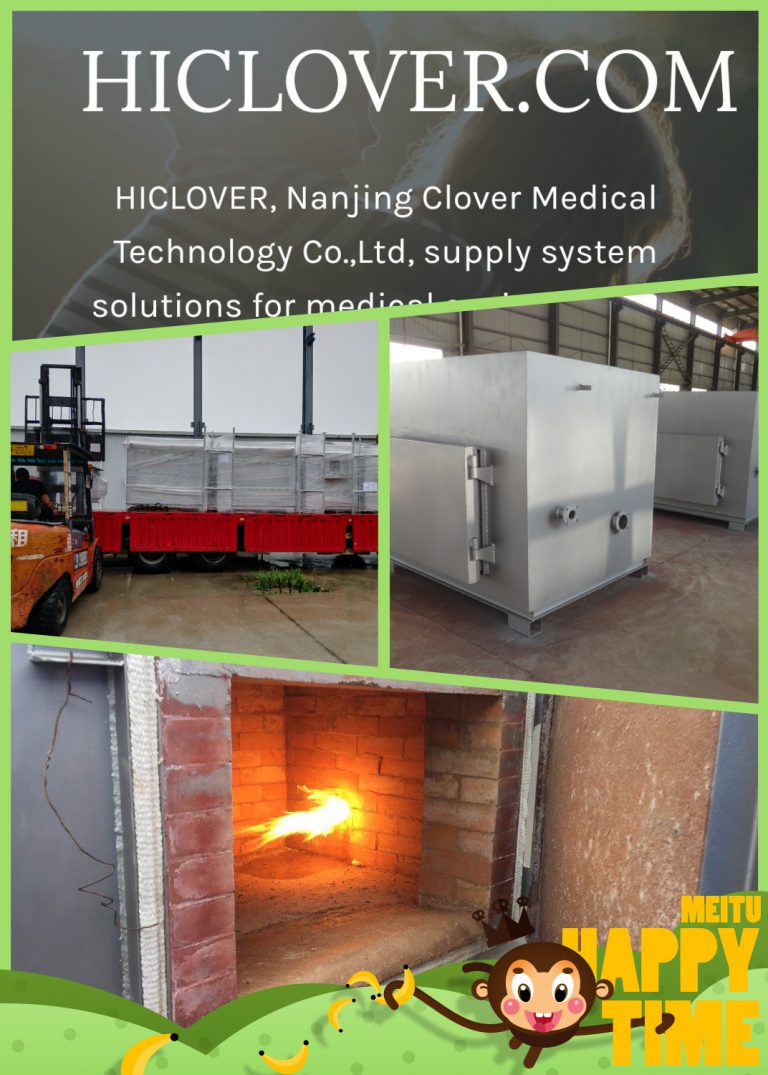 Waste Incineration Treatment BURNING RATE : 100-150kgs per hour HICLOVER TS150