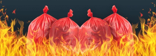 United Nations and WHO Initiatives in Medical Waste Incineration