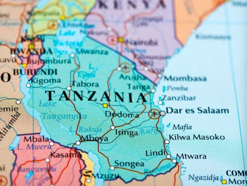 Air Pollution Control Systems for Incinerators in Tanzania