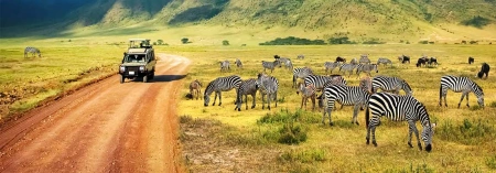 Why Containerized Incinerators are Vital for Tanzania