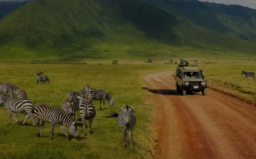 Containerized Mobile Incinerator Solutions for Refugee Camps in Tanzania