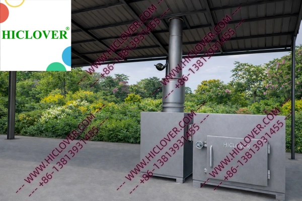 The Role of High-Temperature Incineration in Controlling Nipah Virus and Emerging Zoonotic Threats